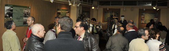 Gran afluencia de público a la Exposición "El cultivo tradicional del olivo"