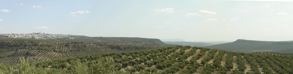 Cerros Porcuna-Alcores, Cerrillo Blanco-Cerro Romano, Jabonero y Albalate